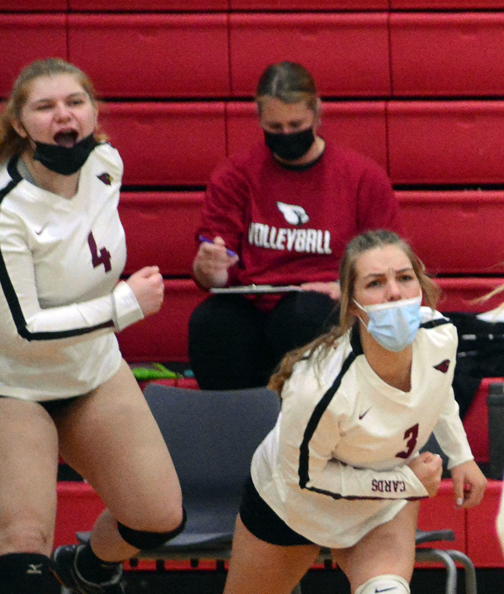 Mayville cardinals 4.jpg